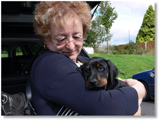 Caravan Park Suffolk - Pets Welcome